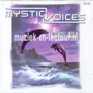 A Voyage Into A New Millenium