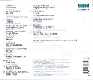 A Voyage Into A New Millenium