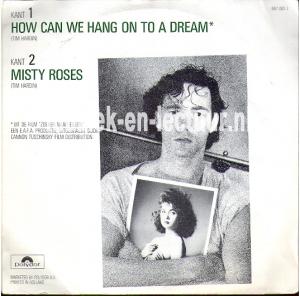 How can we hang on to a dream - Misty roses