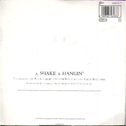 Shake - Hangin' 