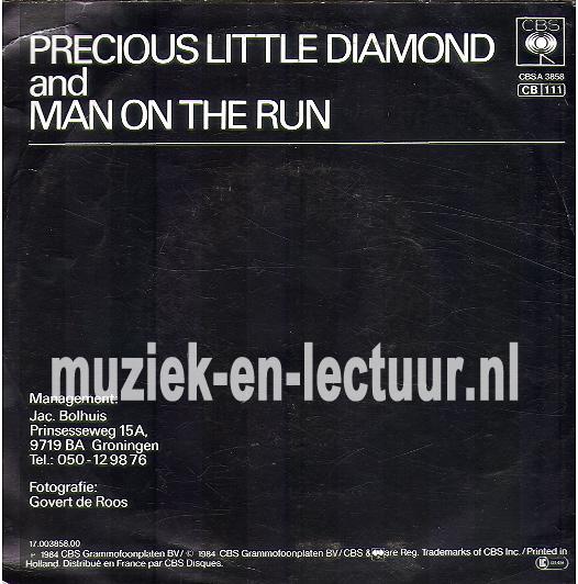 Precious little diamond - Man on the run