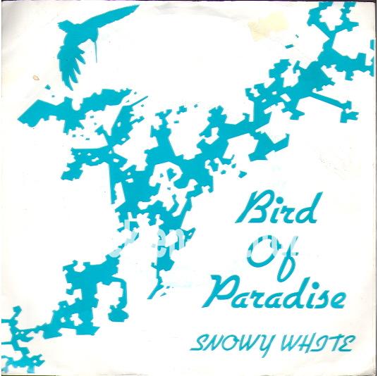 Bird of Paradise - The answer