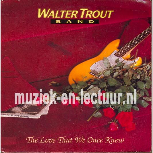 The love that we once knew - Love In vain