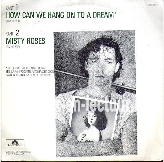 How can we hang on to a dream - Misty roses