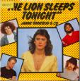 The lion sleeps tonight - Still the same