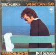 What can I say - Harbor lights