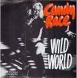 Wild world - Love is ready