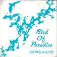 Bird of Paradise - The answer