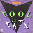 Cool for cats - Model