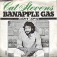 Banapple gas - Ghost town