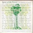 Spirit of the forest - Spirit of the forest